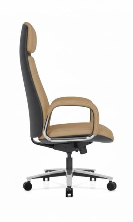 The Monarch Executive Silhouette
